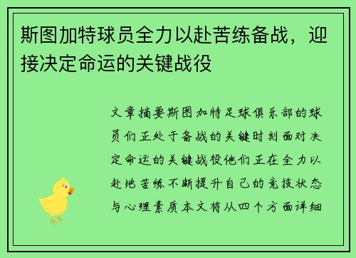 斯图加特球员全力以赴苦练备战，迎接决定命运的关键战役